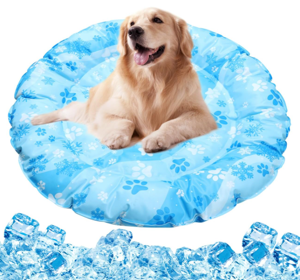 フレブル お迎え準備